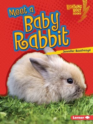 cover image of Meet a Baby Rabbit